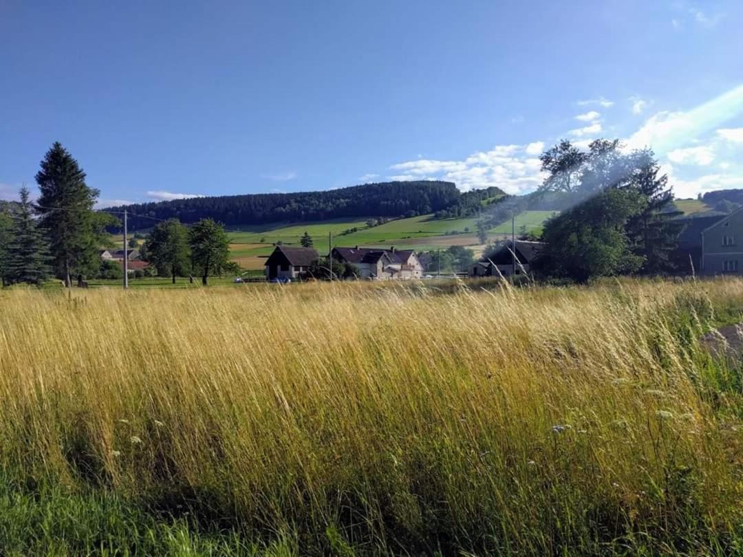 Agroturystyka "U Kasi" Scinawka Gorna Eksteriør bilde