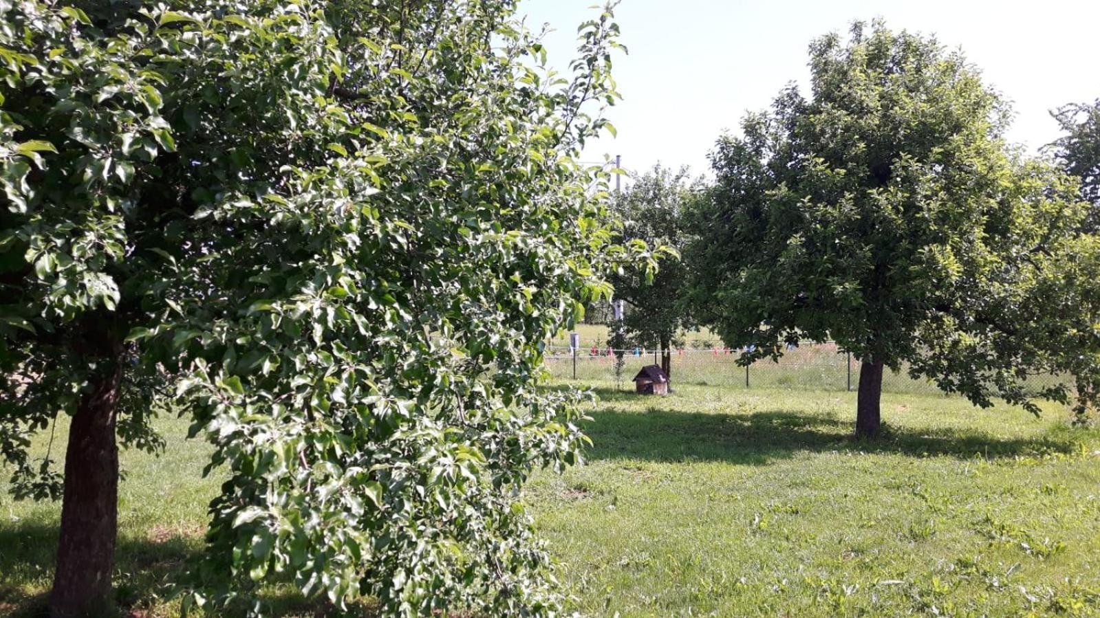 Agroturystyka "U Kasi" Scinawka Gorna Eksteriør bilde